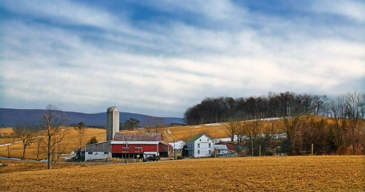 farmers brunch - Article 2